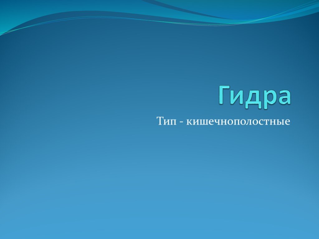 Kraken маркет whitenet только через tor скачать