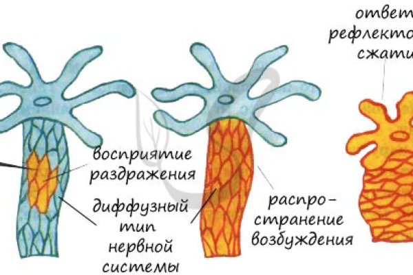 Kra48.cc