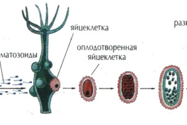 Ссылка на кракен тор kr2web in