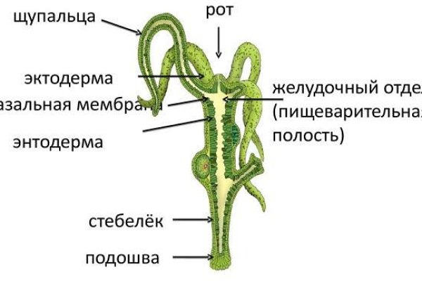 Кракен супернет маркет