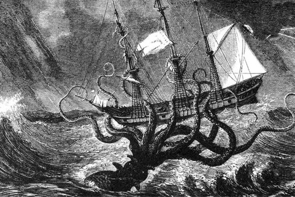 Kraken whitenet market