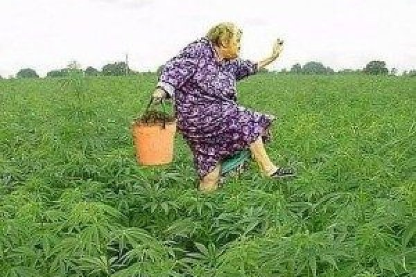 Ссылки на дарк нет