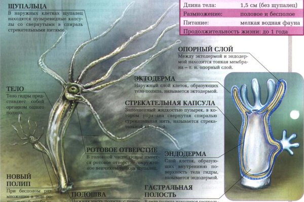 Кракен ссылка купить соли