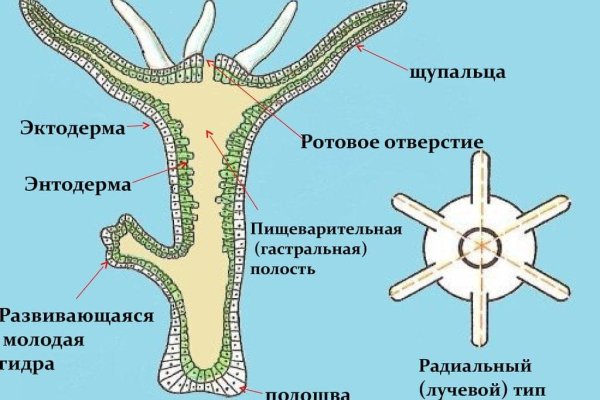 Кракен современный супернет маркетплейс