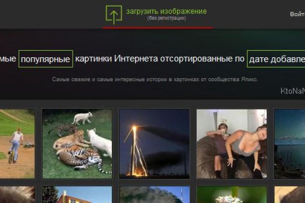 Кракен как проверить зеркало