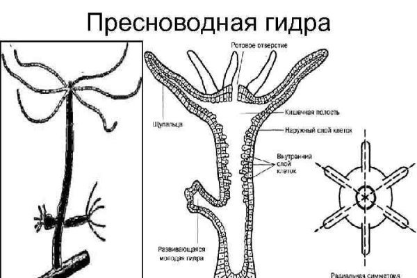 Картинка кракен маркетплейс