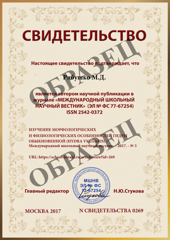 Кракен шоп зеркало