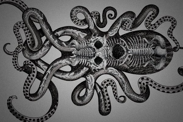 Kraken смылка