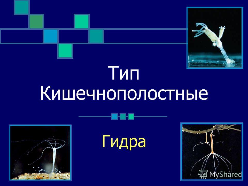 Супернет вход